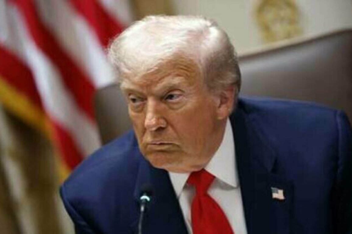 Trump pushing EU to slap 500% tariffs on China - media