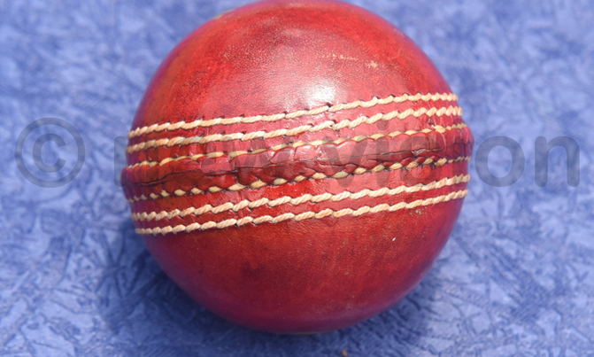 Teso College, Rainbow toil in Cricket Week Teso College, Rainbow toil in Cricket Week