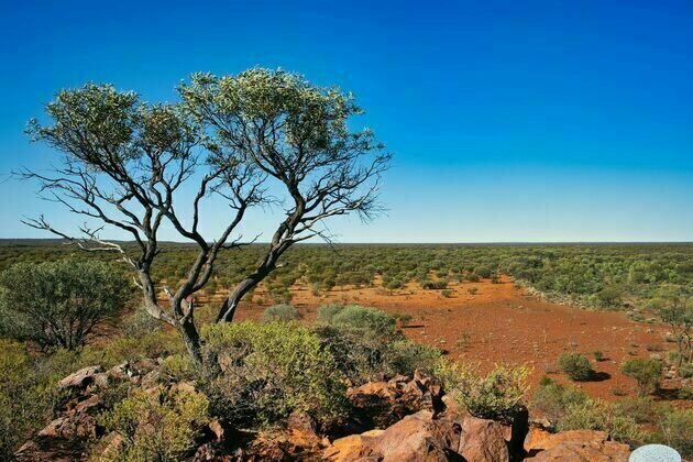 A budget splash to conserve 30% of Australia's lands will save species - if we choose the right 30%