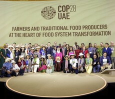 COP28 has sent clear signals for countries to put agriculture and food in their climate plans