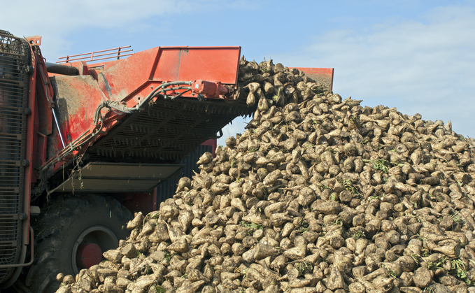 Company fined £133,000 after employee fell from sugar beet conveyor