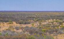  Mt Peake in the NT