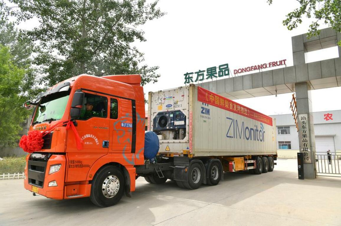 Economy | Fresh pears from N China's Hebei to be exported to Argentina