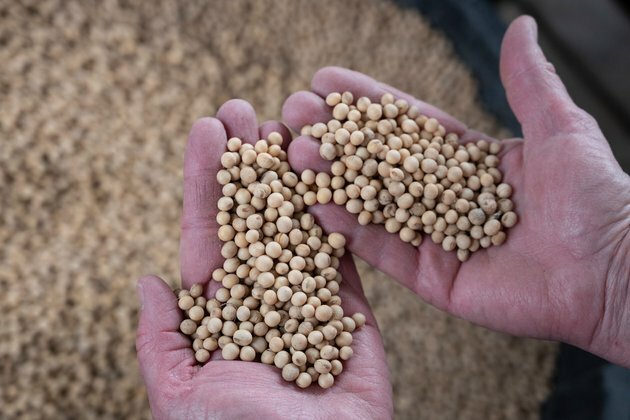 What is bioengineered food? An agriculture expert explains