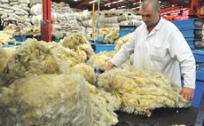 Optimism for wool market recovery