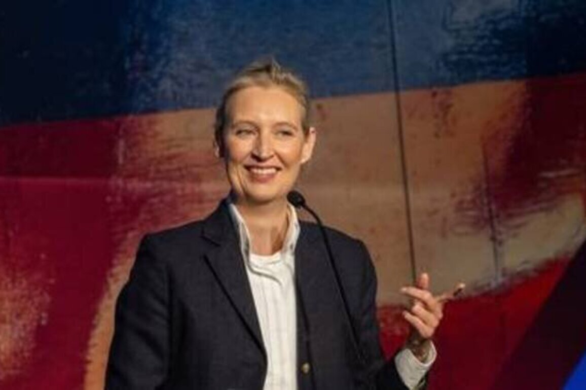 Germany's AfD hails 'major victory' against Berlin's domestic spy agency