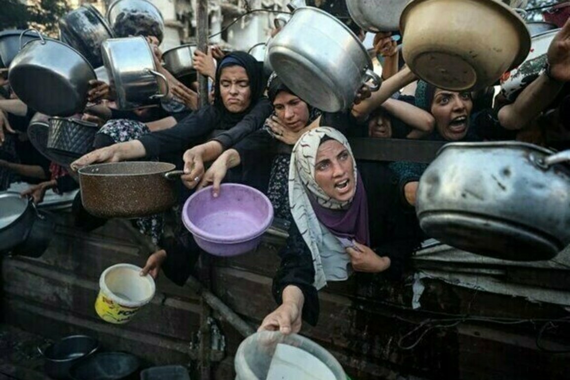 Iran Calls for Action amid Worsening Humanitarian Suffering in Gaza
