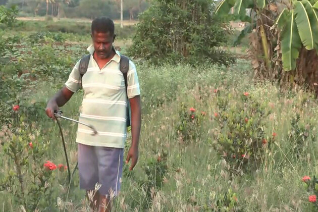 Tamil Nadu: Flower farmers in Srirangam seek research centre and perfume unit ahead of elections