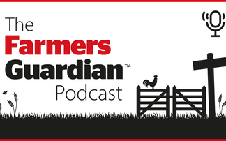 The bluetongue surge: Immediate action now and lessons for the future | The Farmers Guardian Podcast 
