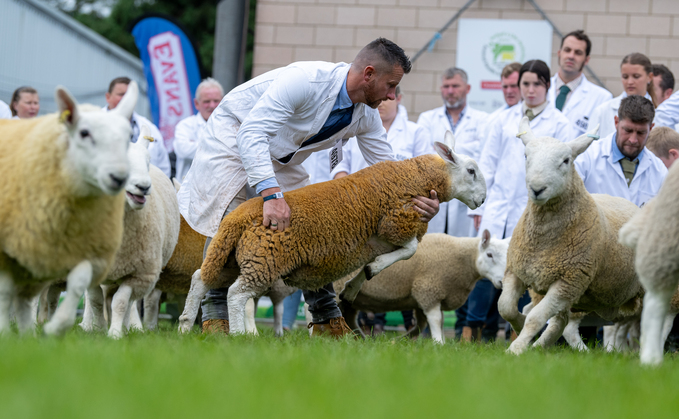 Suffolk steals the show at the Royal Welsh