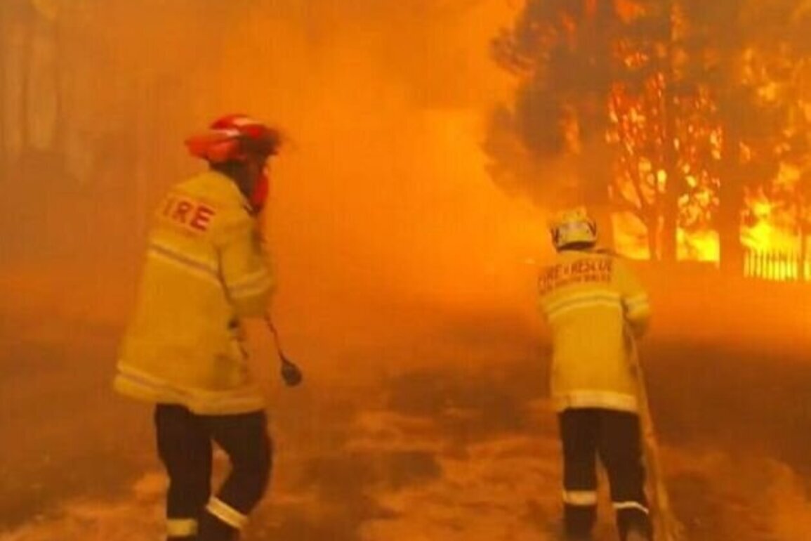 Australia's volunteer crisis threatens frontline climate action