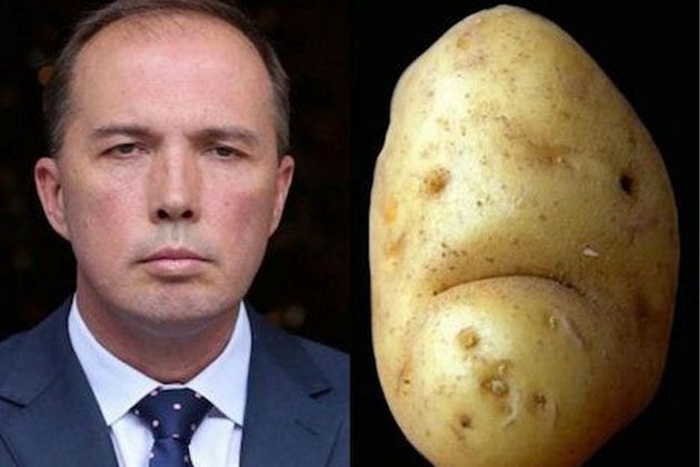 FLASHBACK 2016: Stop picking on Dutton for Pete&#039;s sake