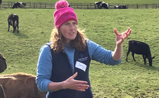 Simple system in focus for Dairy Industry Women of the Year finalist