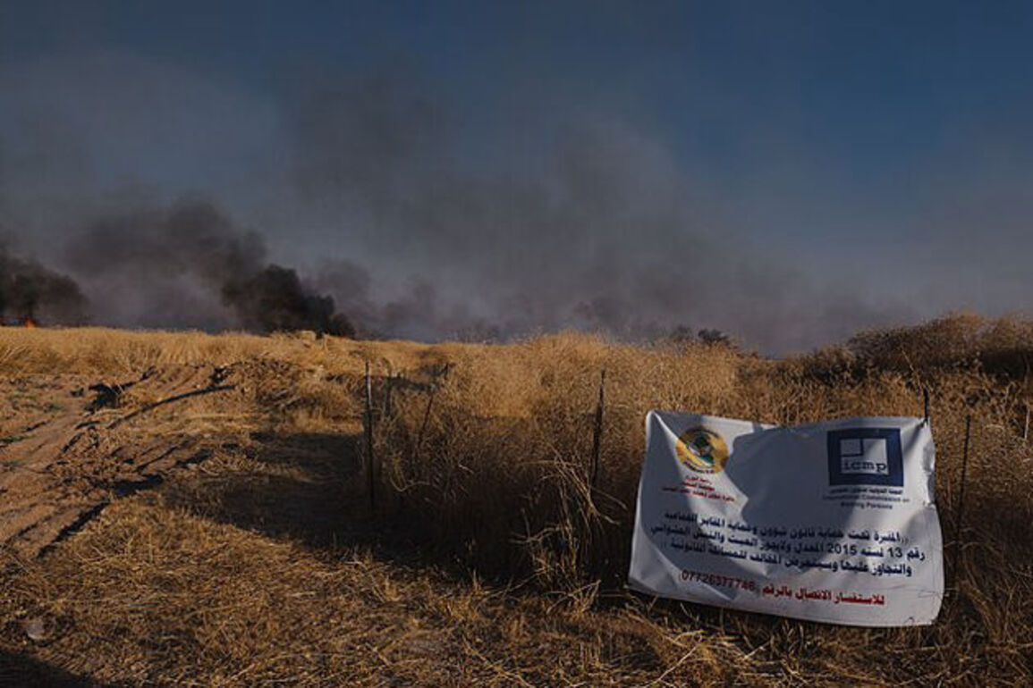 DNA database launched to identify victims in Iraqi mass grave