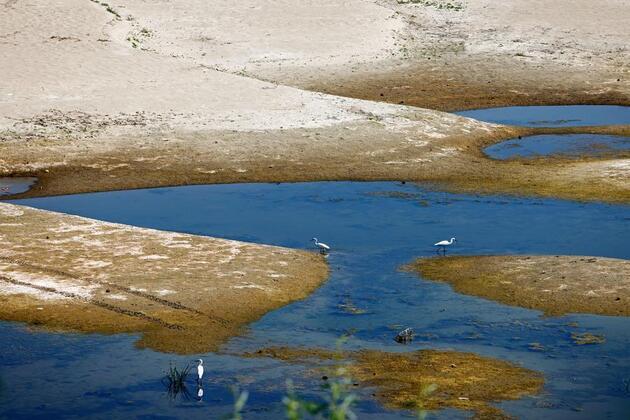 Heatwave tightens grip on Europe, straining transport, power and agriculture