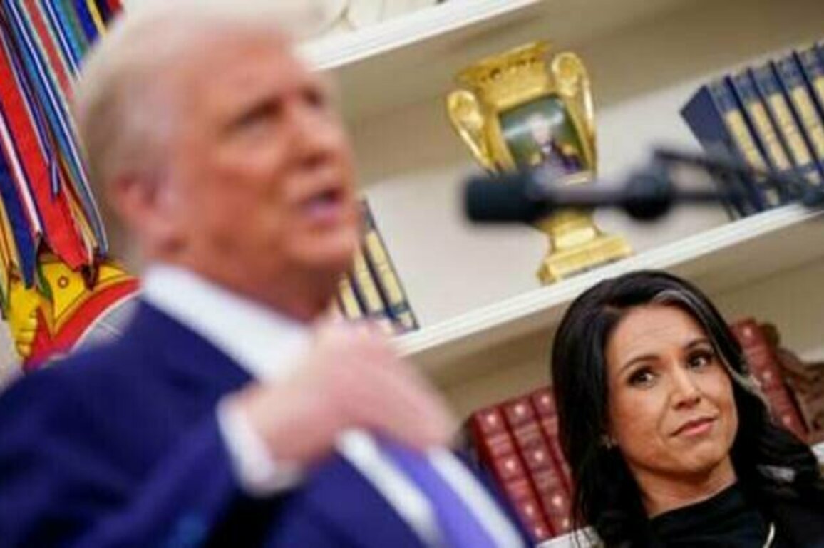 'I don't care what she said' - Trump dismisses Tulsi Gabbard's Iran claims