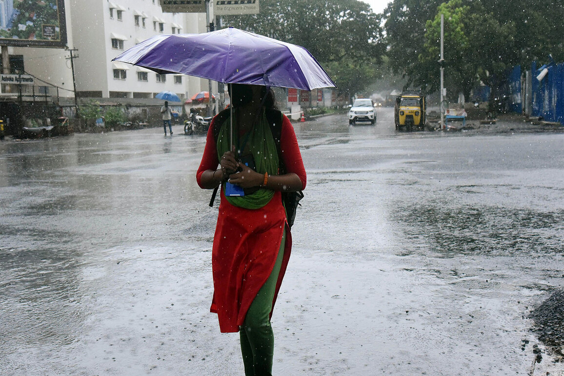 Rain in Keralam: IMD issues yellow alert in 8 districts