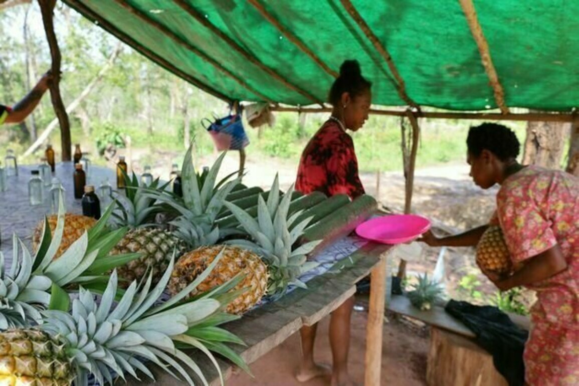 Menerapkan bioekonomi berbasis warga untuk memperbaiki arah perekonomian Indonesia