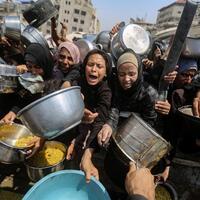 Daily World Briefing, Aug. 23