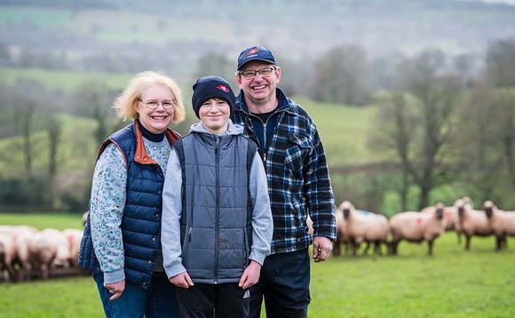 SHEEP SPECIAL: Clun Forests prove a profitable foundation for commercial flock