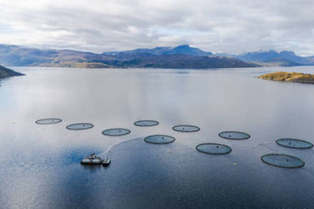 Norway's fish farm waste 'triple the country's sewage' - report