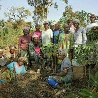 33 million women grow food on plots in sub-Saharan Africa. Greener farming can boost their earnings - study