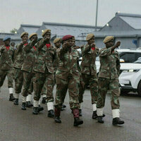 Peacekeepers leaving DR Congo  media
