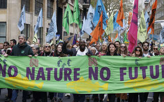 Why Extinction Rebellion's Earth Day protests matter for business