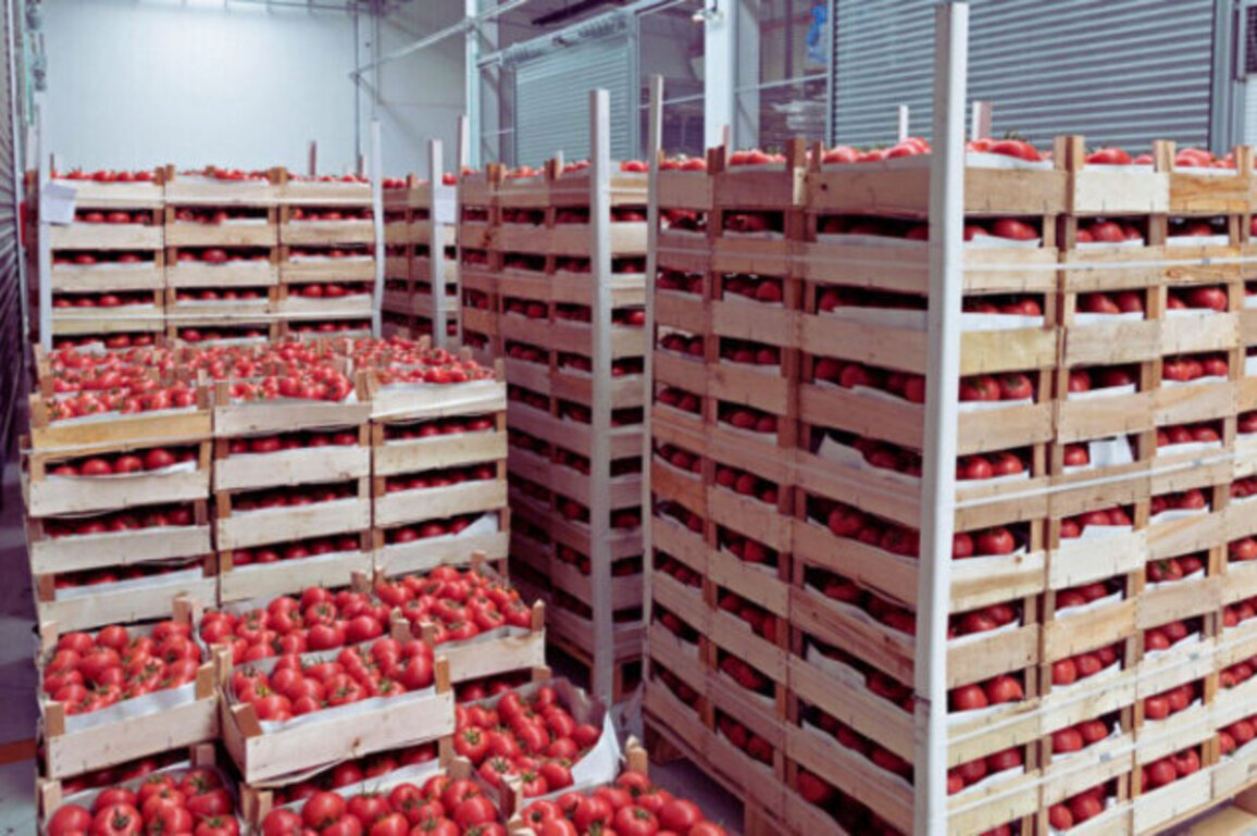 Bulgaria Blocks Over 370 Tons of Unsafe Food Imports in One Month