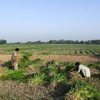 Pakistan flood-hit farmers move climate justice case in Germany against top polluters
