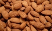 Australian almonds experience strong growth