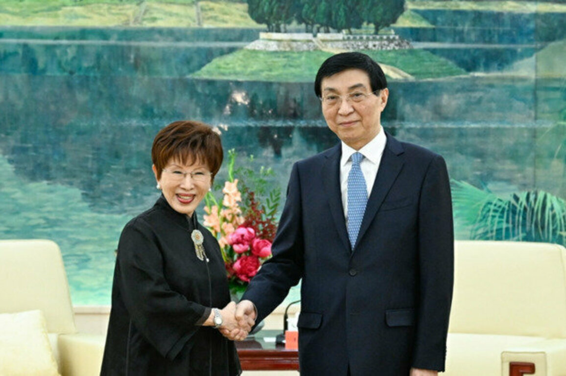 Top political advisor urges cultural cooperation across Taiwan Straits