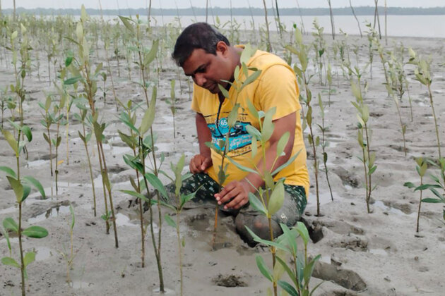 20,000 geo-tagged mangroves flourish in Sundarbans under Green India Challenge as tribute to KCR