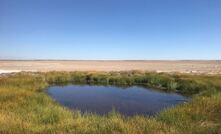 Gosse Springs in SA's Great Artesian Basin.