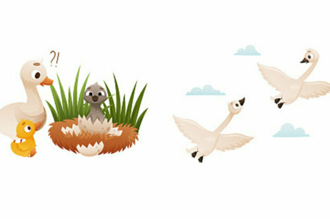 'The Ugly Duckling,' a story shared between China and Denmark