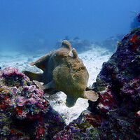 New marine reserve adds tension to Philippines-China standoff