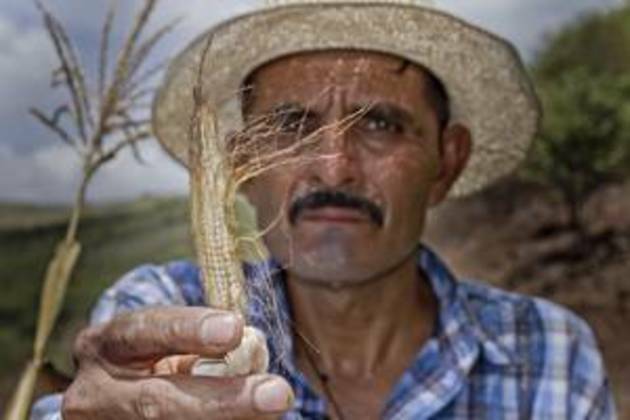 To reduce El Ni'o's impact on Central America's Dry Corridor, build resilience and invest in sustainable agriculture