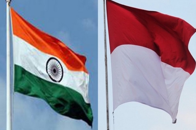 India refutes reports in Indonesia on loss of fighter jets during Operation Sindoor