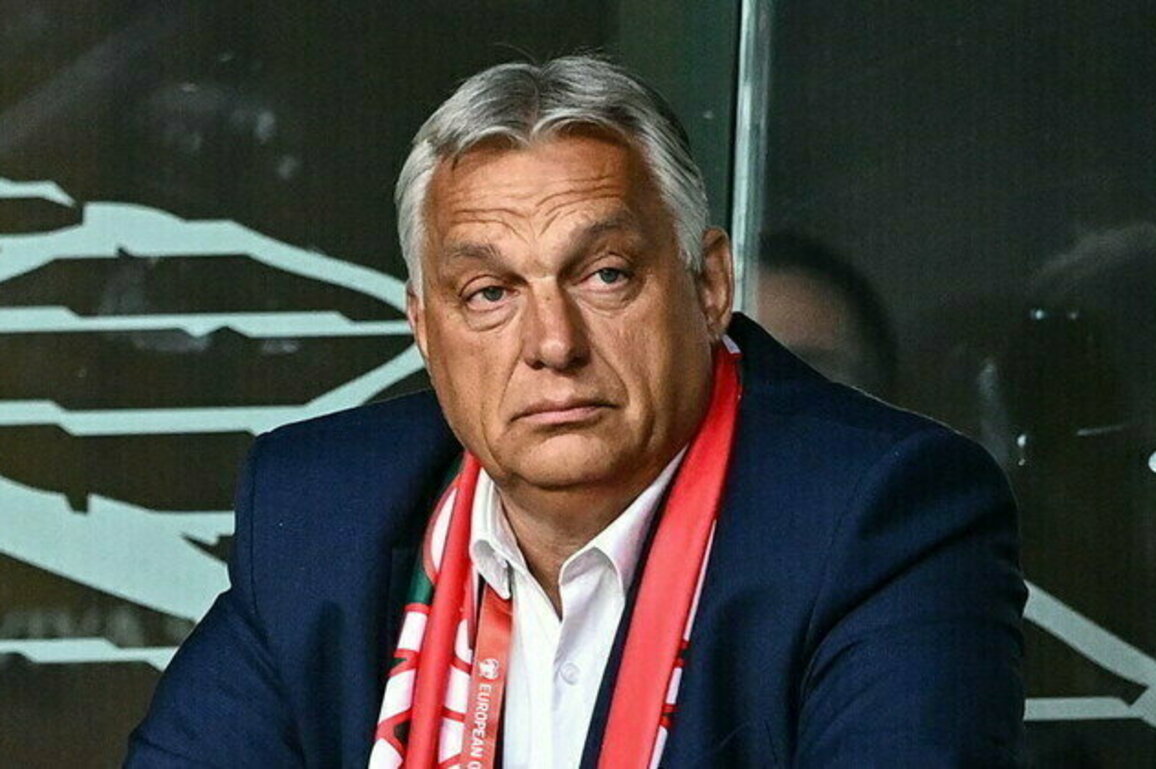EU leaders want to go to war with Russia  Orban