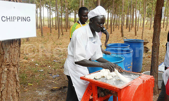 Govt to focus on food crops for the regional market Govt to focus on food crops for the regional market