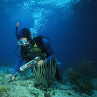 AD Ports Group issues 'Coral Relocation in the Arabian Gulf' report