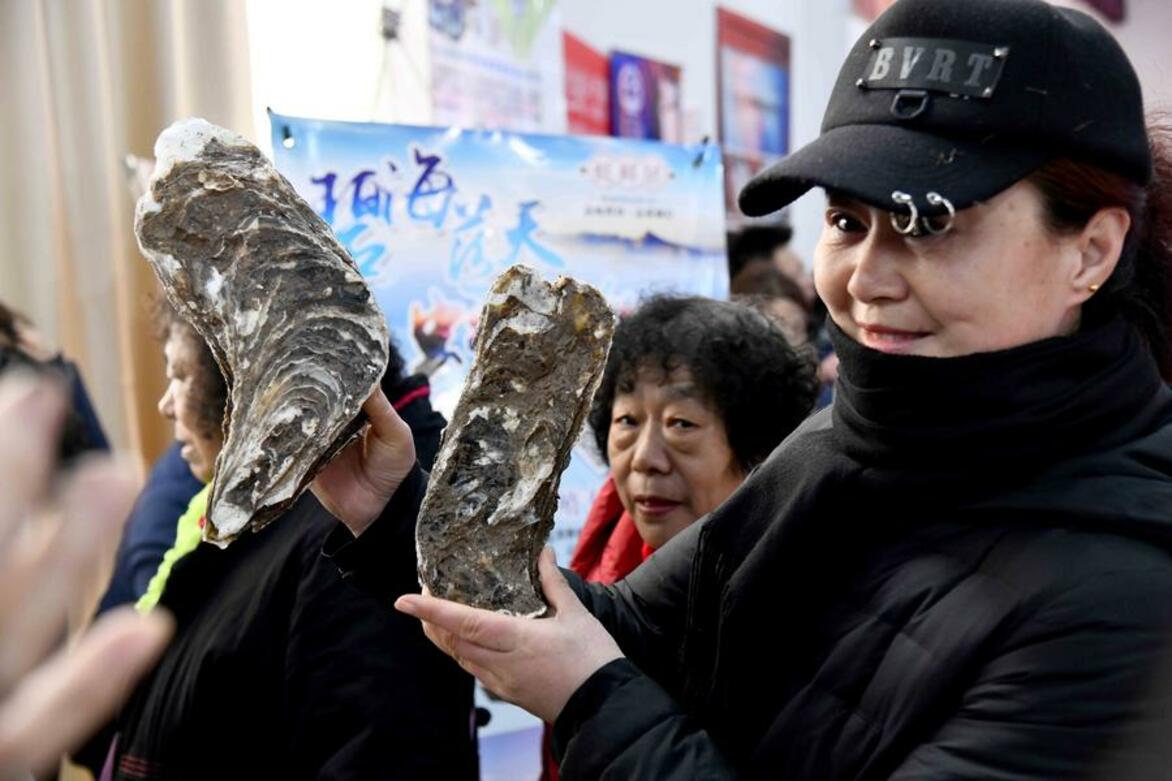 Oyster fossils offer new insights into history of global warming