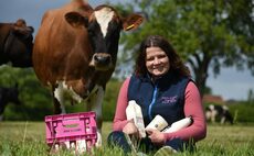 Family dairy farm moves to on-farm processing and creates renowned brand