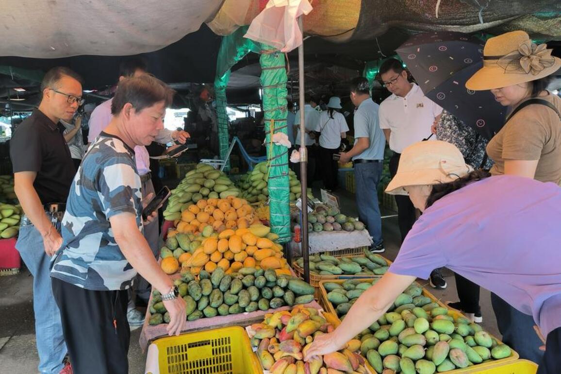 Mango ice pops from China's Guangxi offer refreshing tropical treat