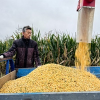 CHINA-SHANDONG-AUTUMN HARVEST (CN)
