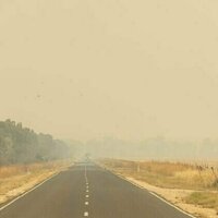 Politics with Michelle Grattan: Tony Wood on 'politics trumping climate policy' and the hard road ahead