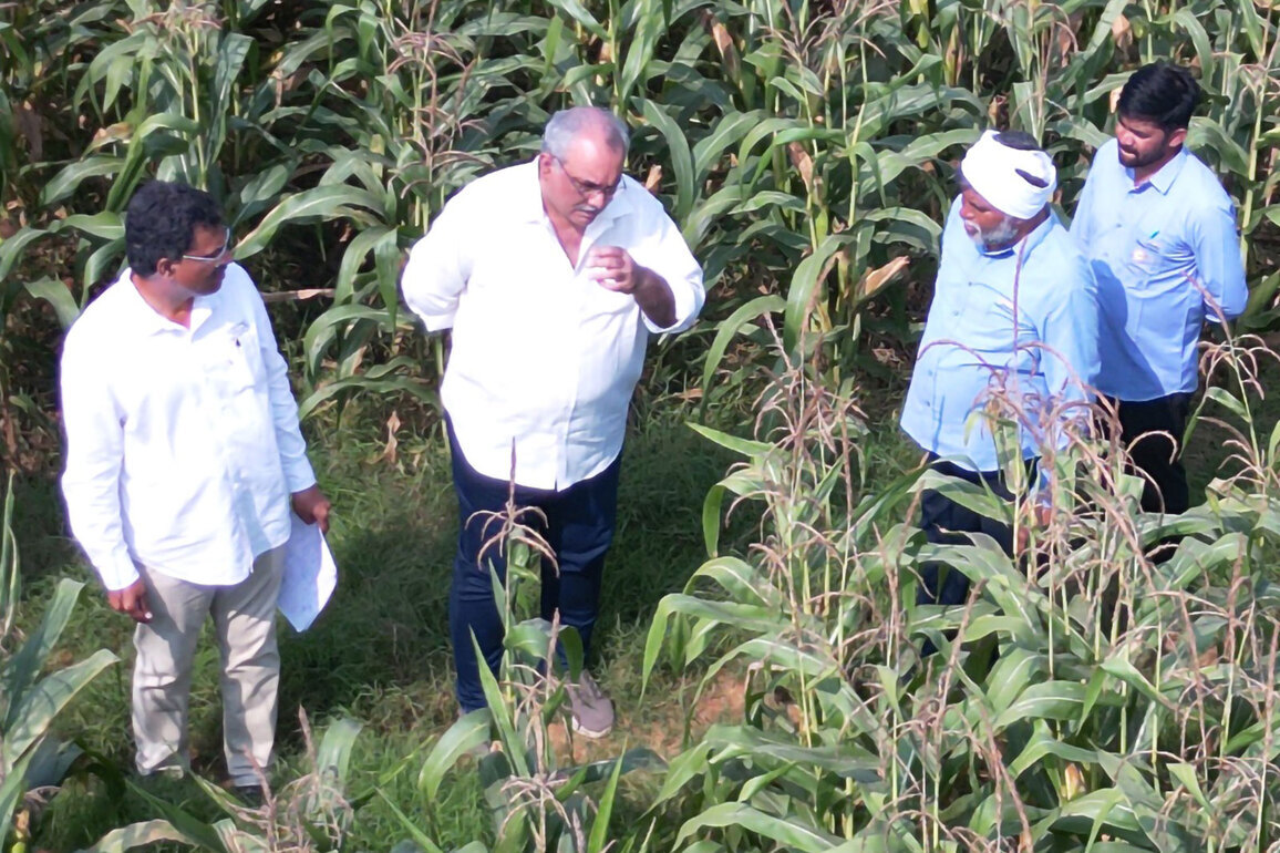 ICAR-IIMR and Gourmet Popcornica Collaboration Paves the Way for an Aatmanirbhar Popcorn Maize Ecosystem