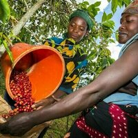 Africa's smallholder farmers are using bright ideas to adapt to climate change: G20 countries should fund their efforts