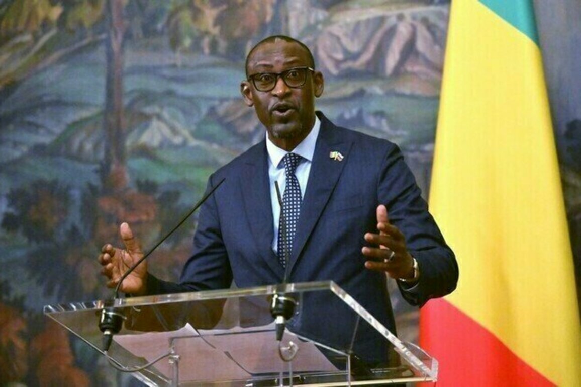 Ukraine fueling instability in Africa  Malian FM