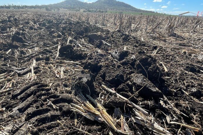 New research has shown there is potential for primary producers to be rewarded for good soil stewardship. 
